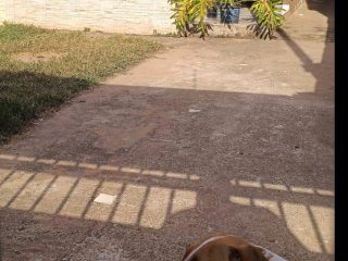 Imagem do imóvel CA62027